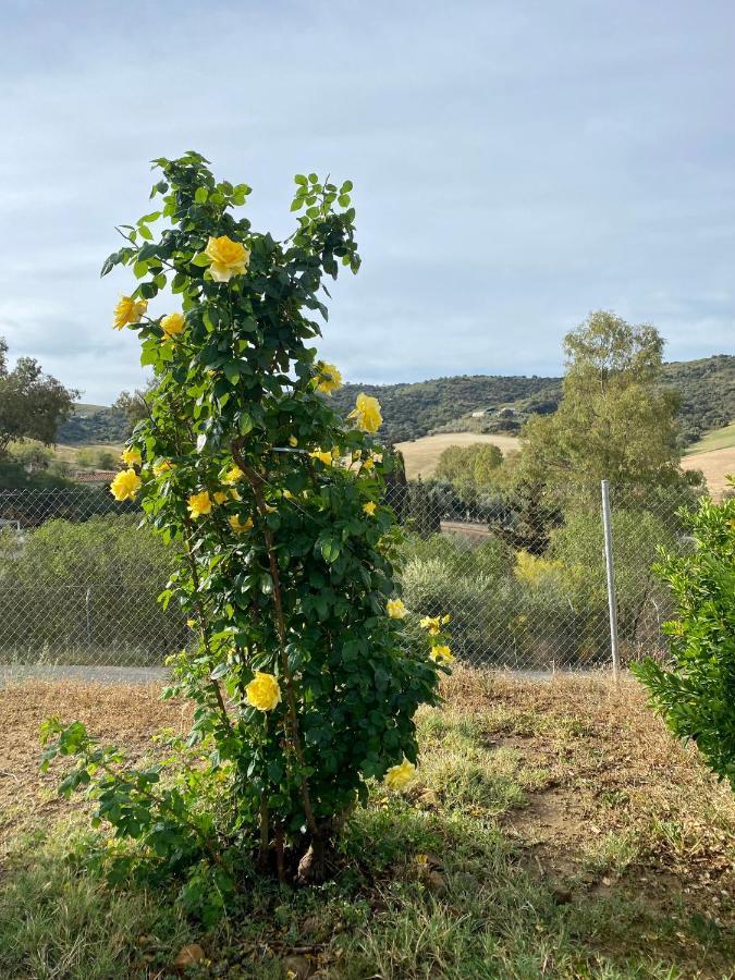 Villa Casa Rosa, El Torcal Almogía Εξωτερικό φωτογραφία